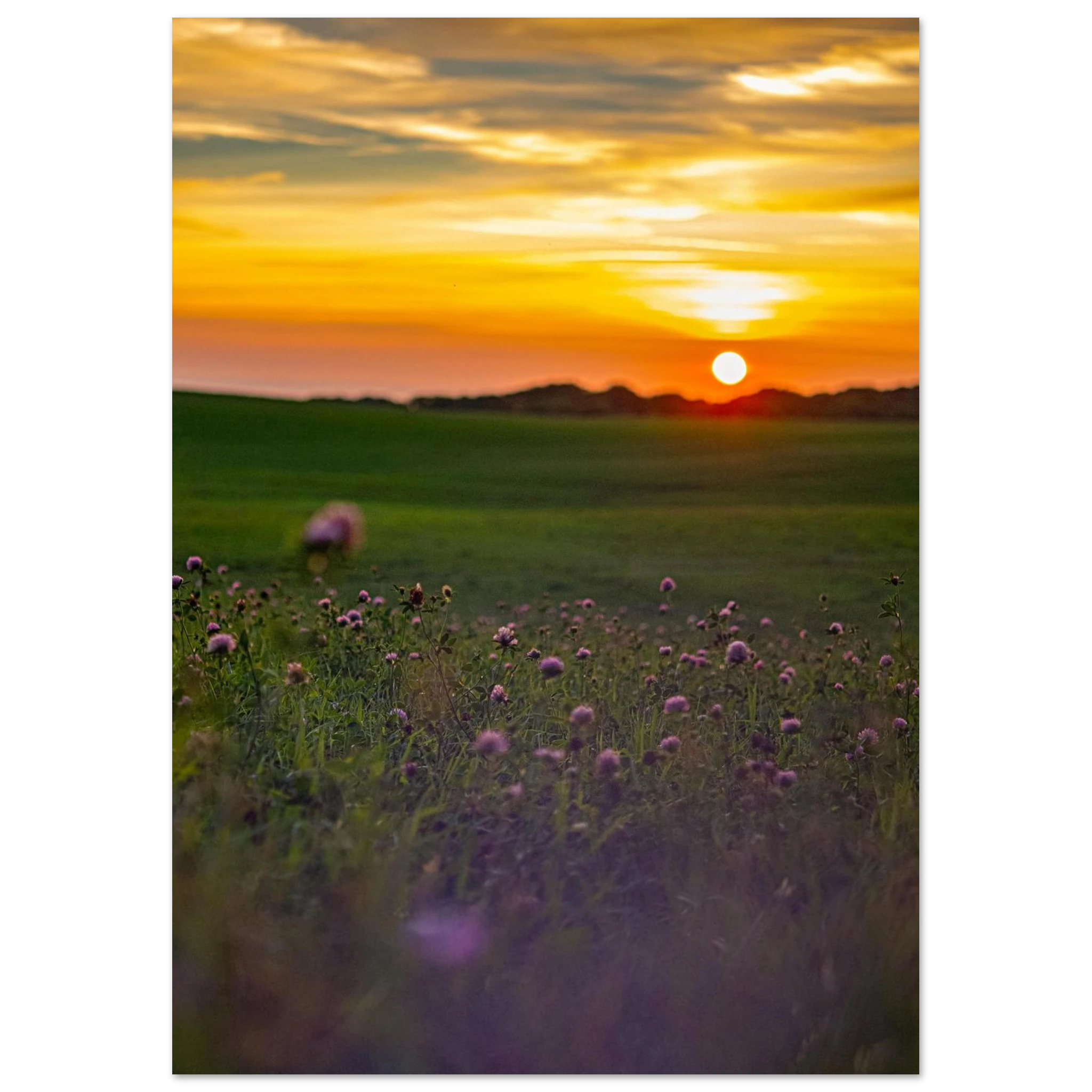 d8b96375-10cc-44b8-9c9d-f99cb5b2a477