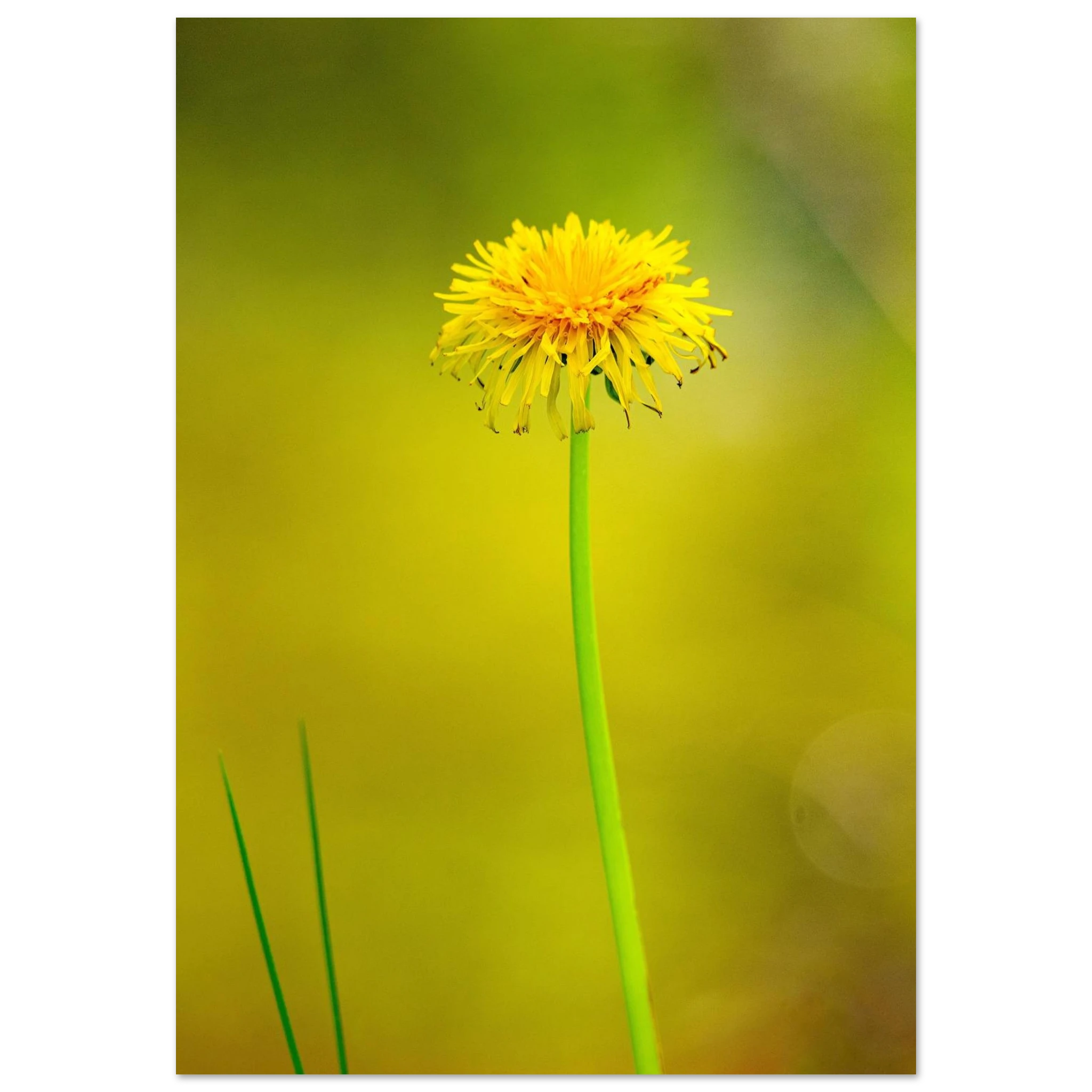d95024b2-503b-49d6-a780-dcd5d9eb629d