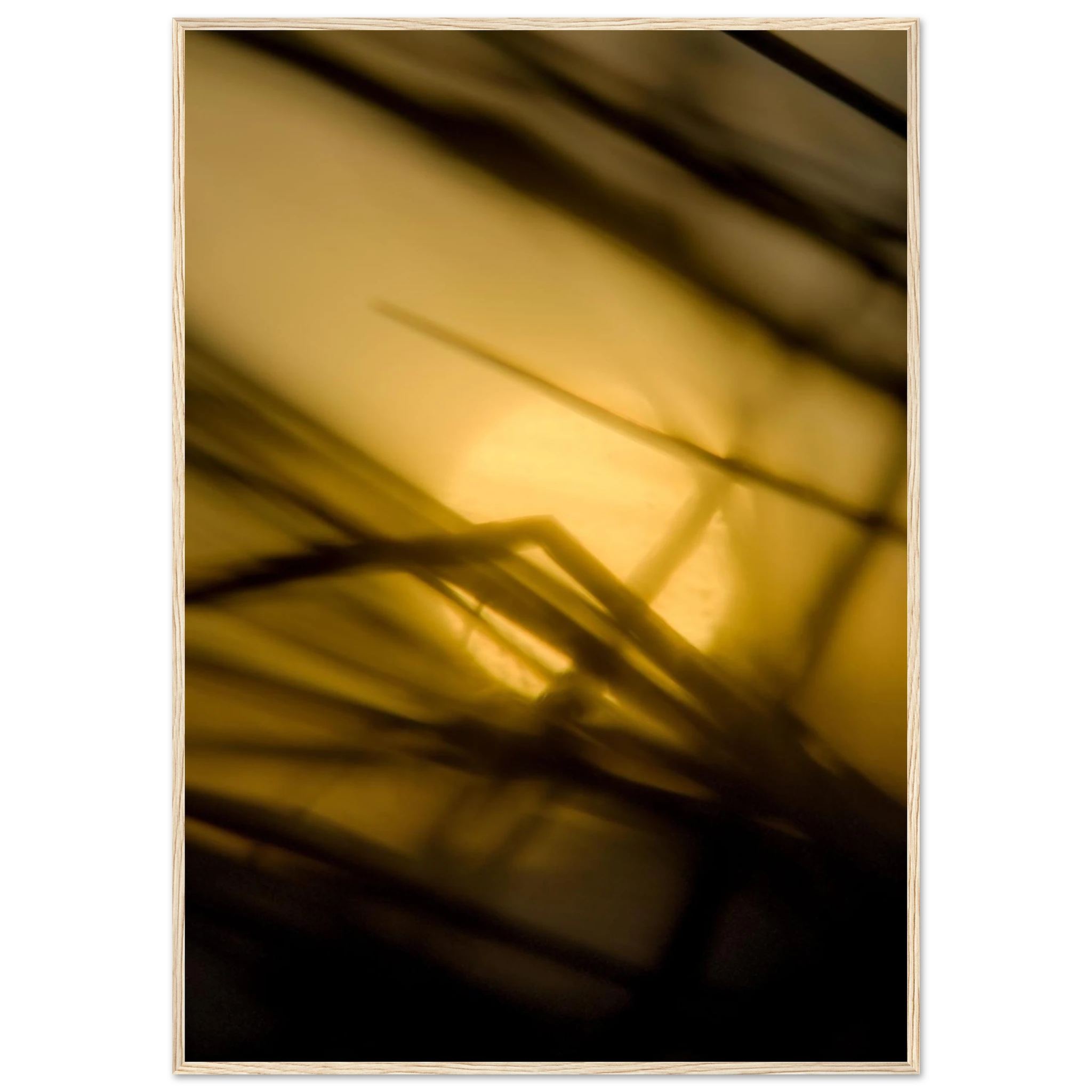 db0f419b-fa72-488d-8e2d-0cf365a476ab