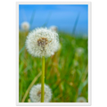 de025d0b-7170-4095-bf7c-da81d4d1704d