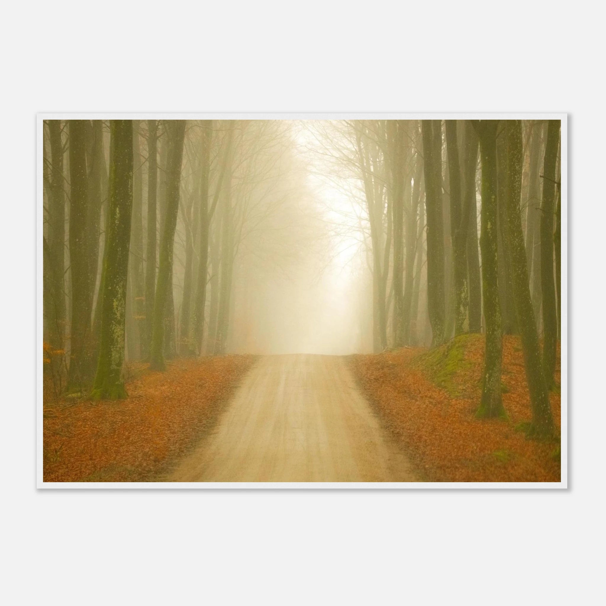 de7d4a0e-1f58-4bda-bd36-b119fc48b081