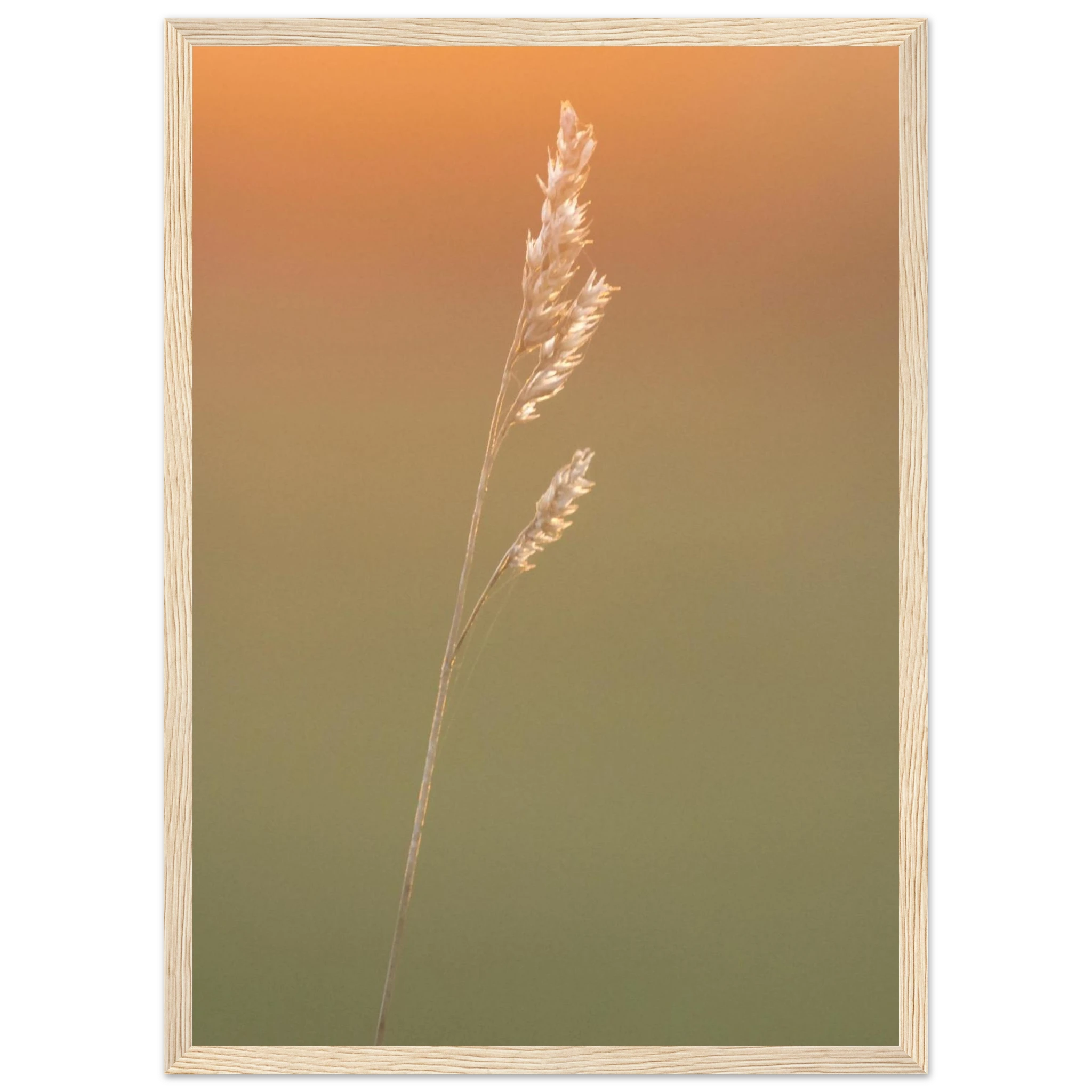 e01a5755-8a59-4813-94b9-496bc193133f