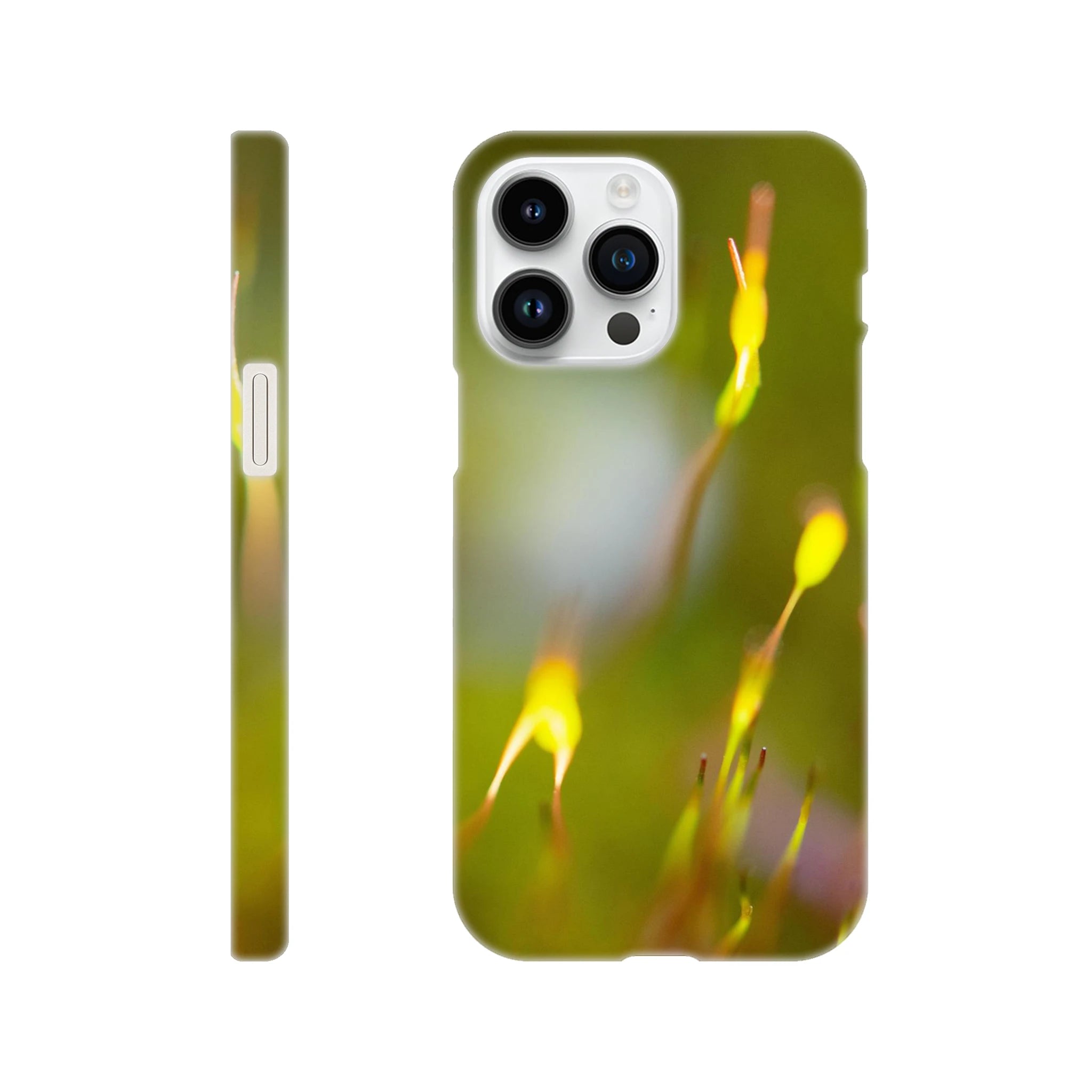 e024abda-a660-492a-808a-836033c184d7