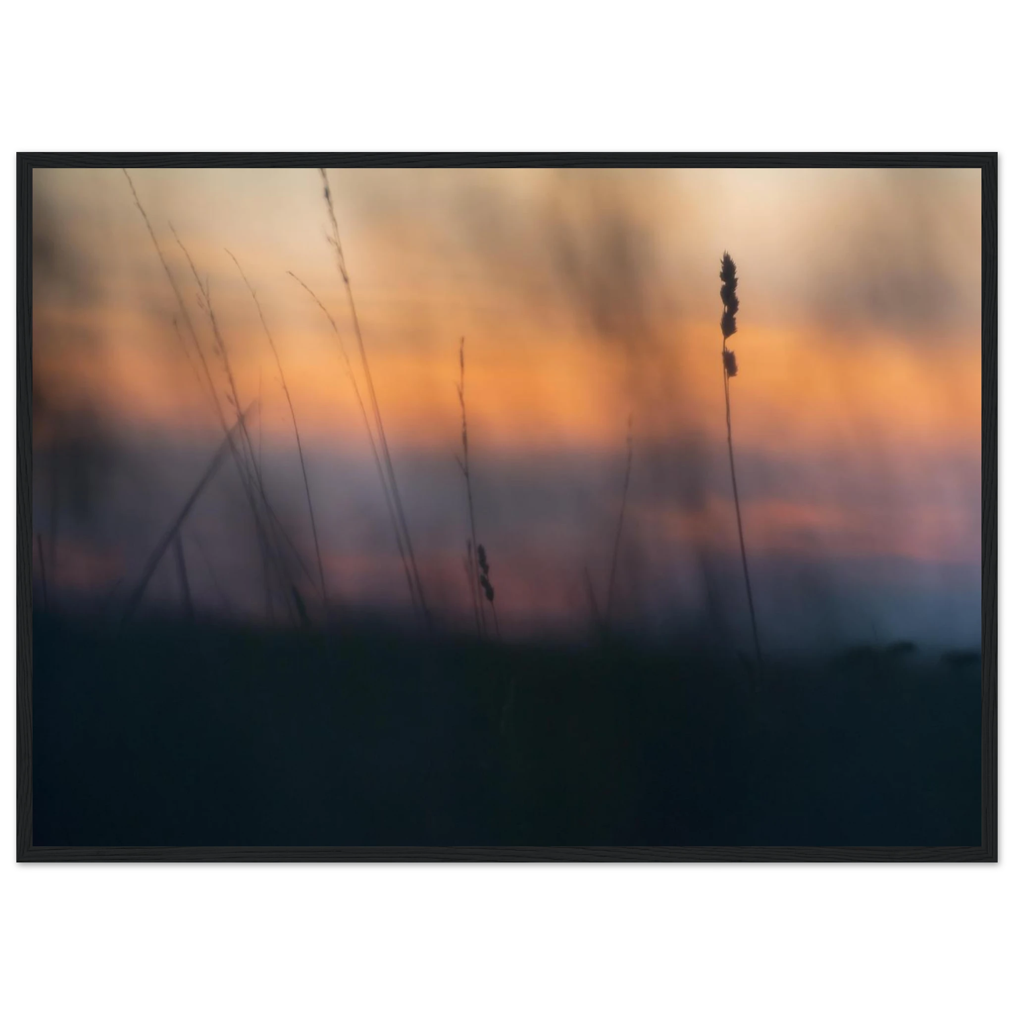e038ddb8-b365-463a-a0c9-00d42f5e54d6