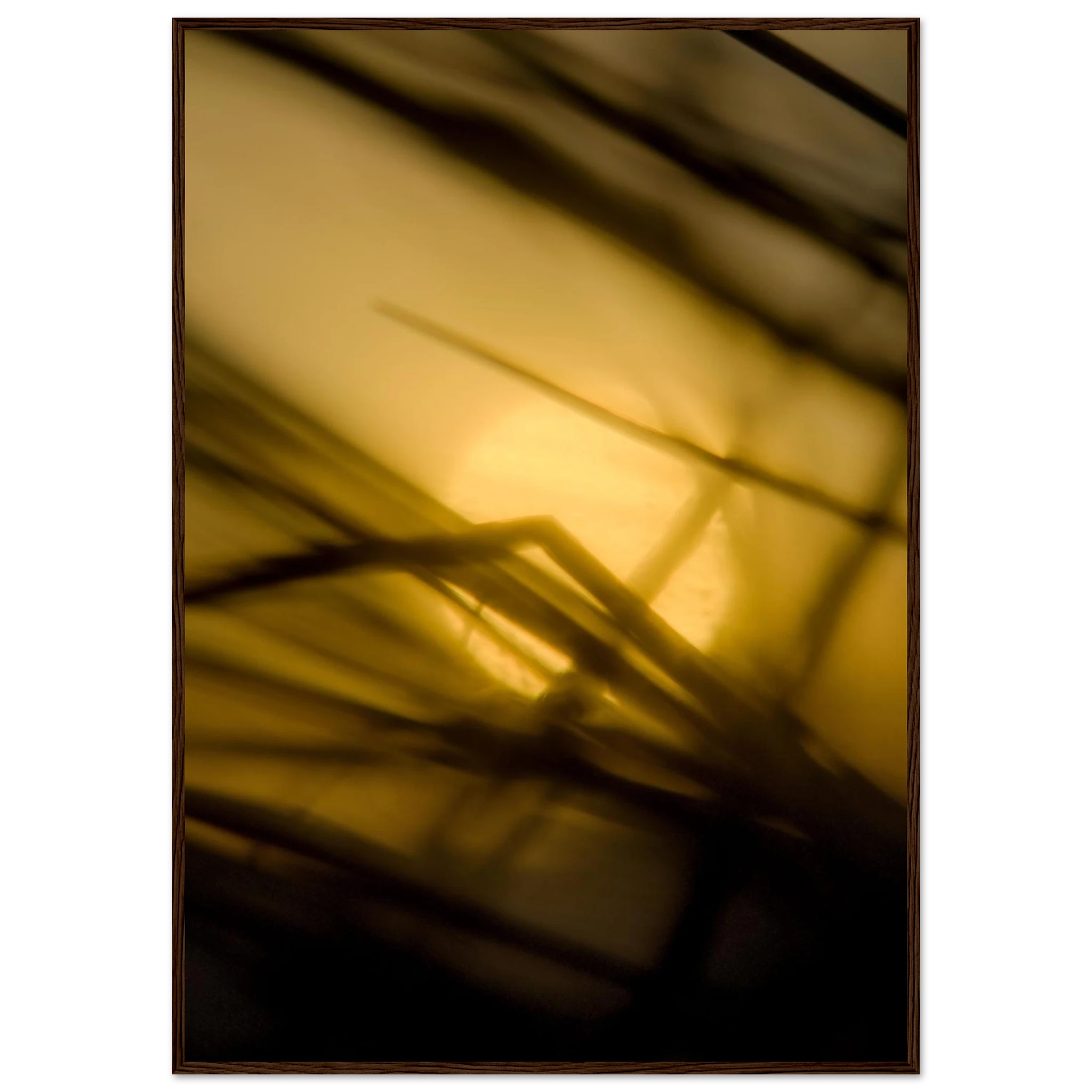 e0bed96d-9901-4074-8eb9-e29eae0e4915