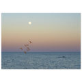 e29381ef-1f9c-4d96-9205-e53da1af7201