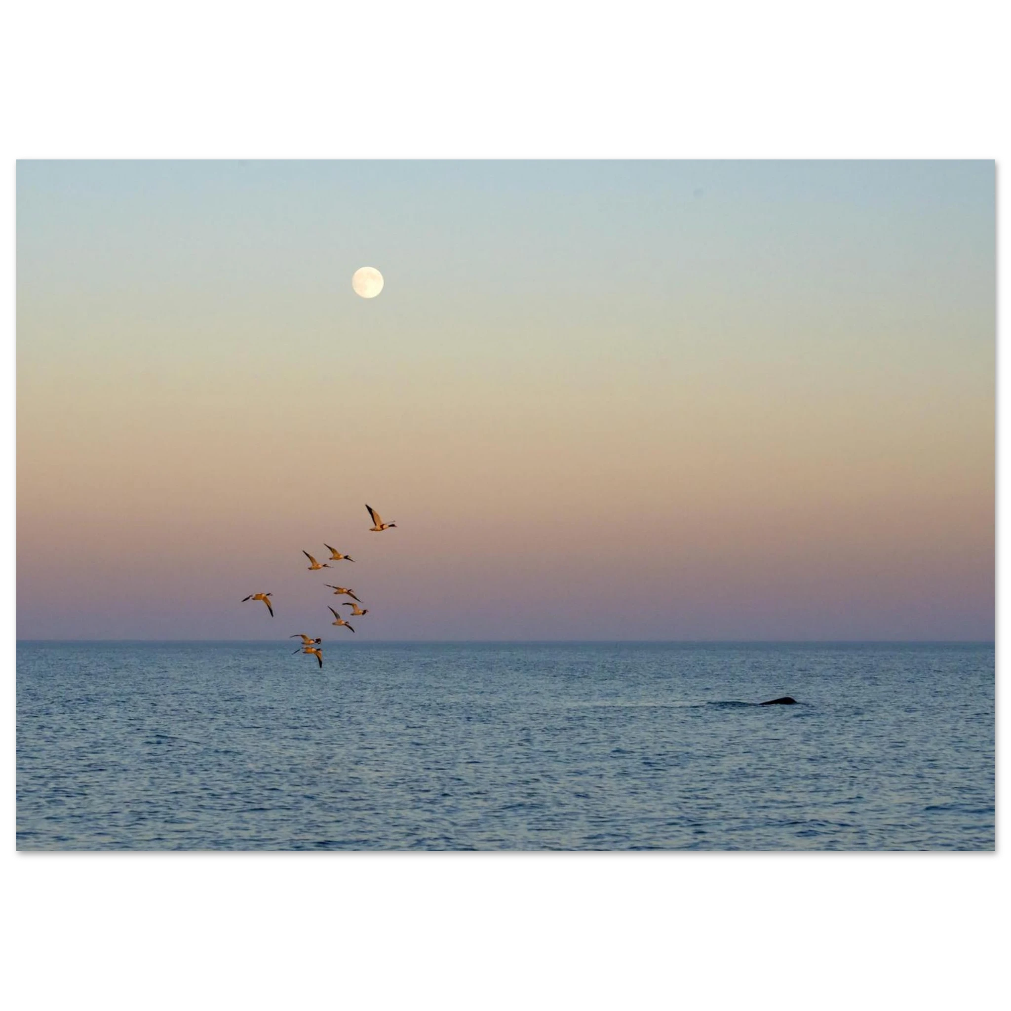 e29381ef-1f9c-4d96-9205-e53da1af7201