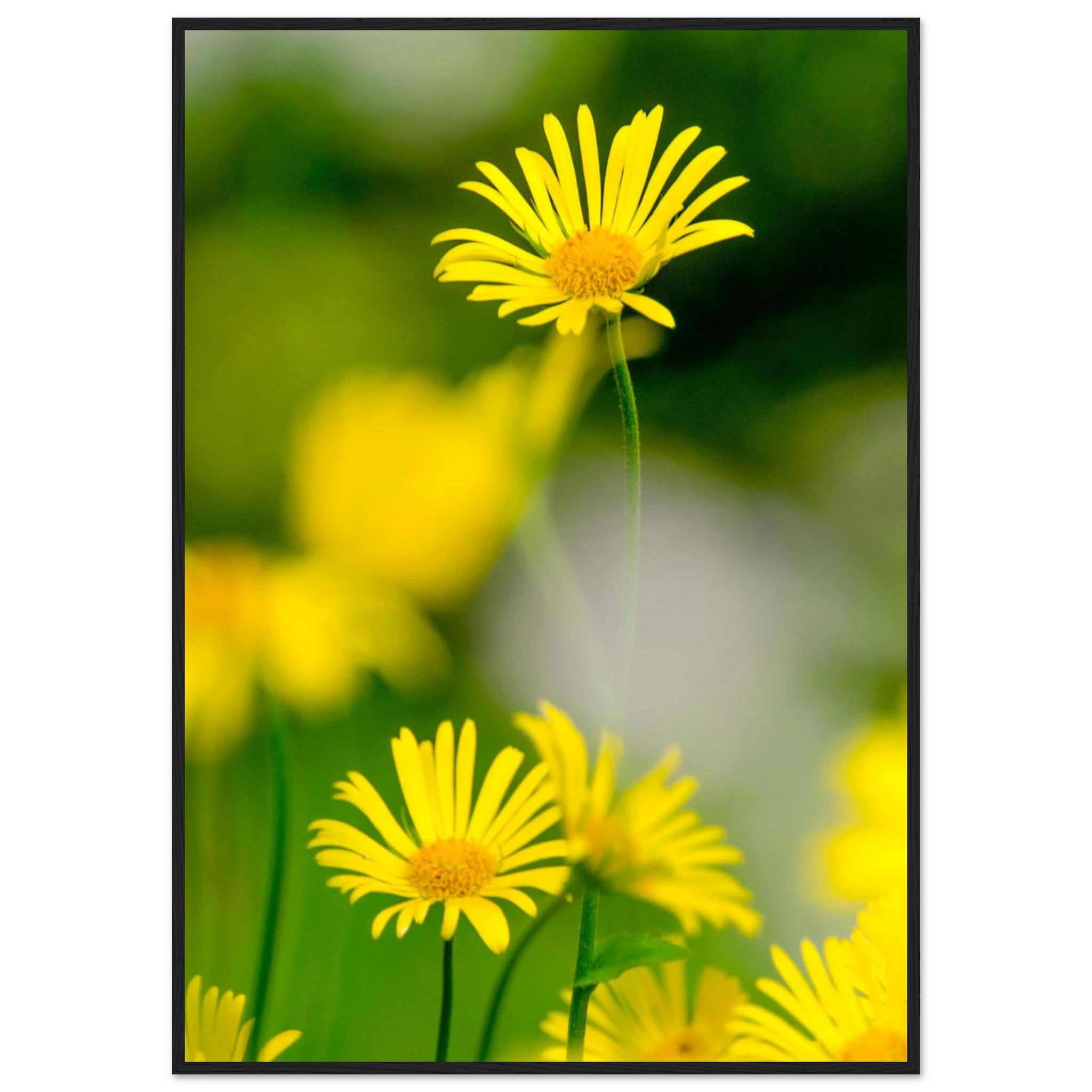 e3ca990e-39ef-4776-9439-6e9f63030d89