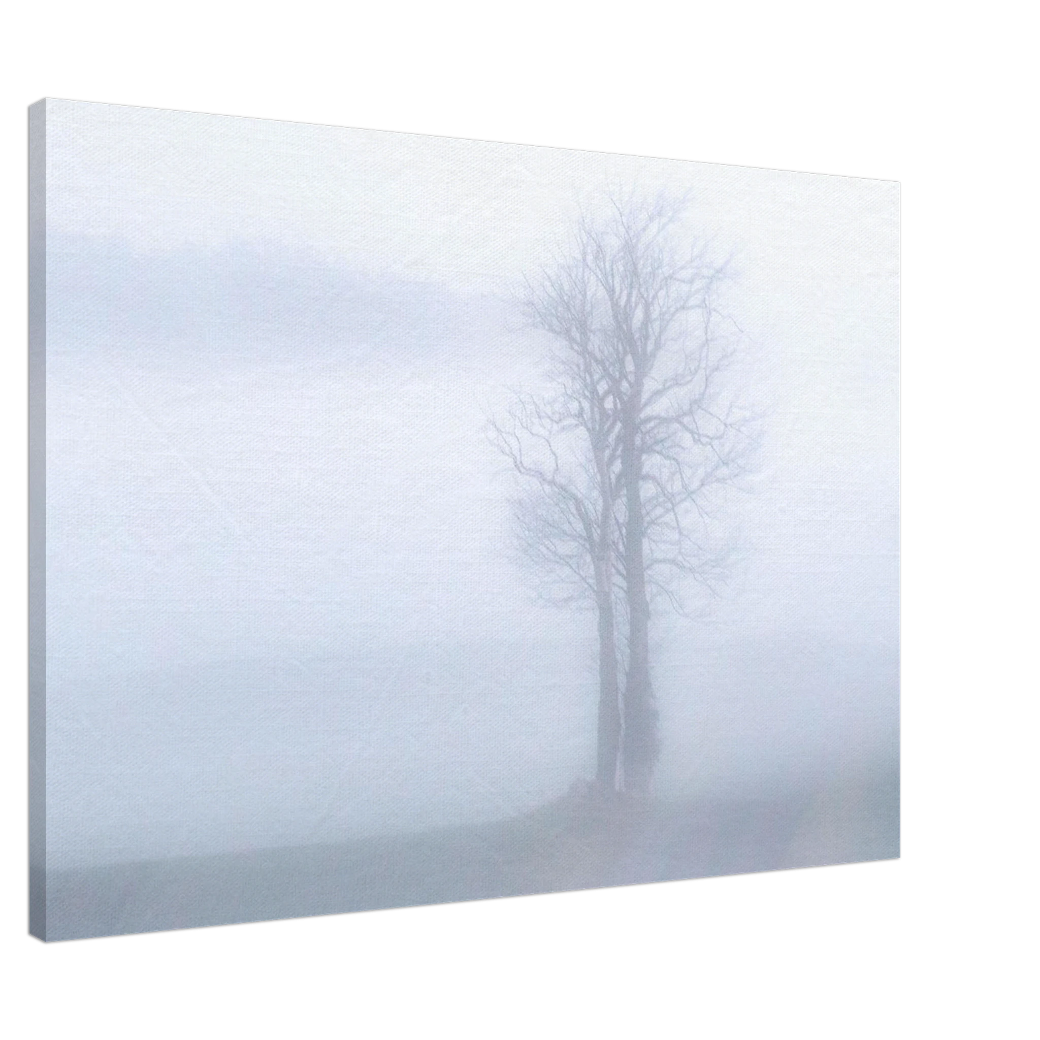 e4e39bb4-9e2f-4361-a833-f375bb0f7074