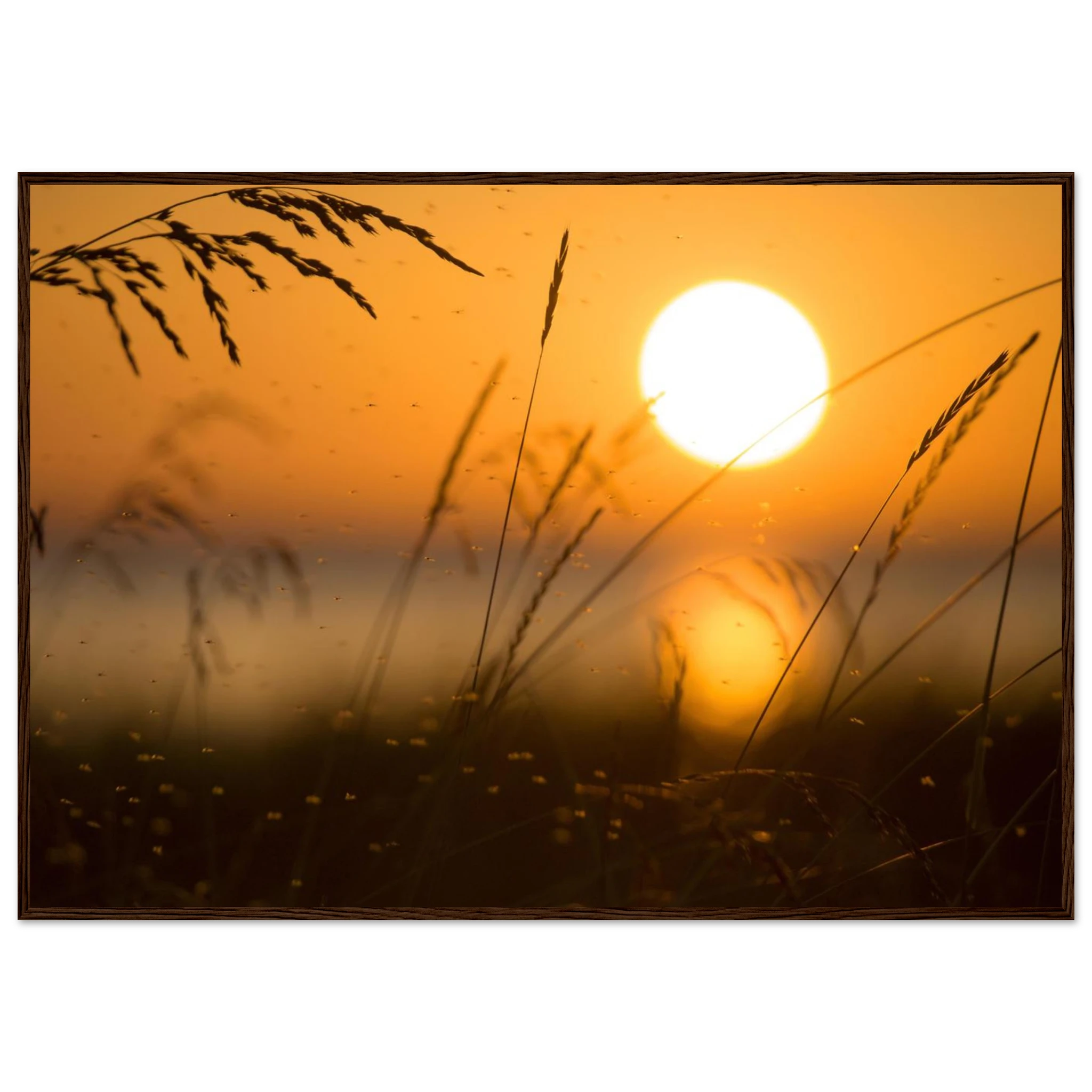 e5041fed-3bb5-415b-8a68-83504711dfb5