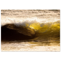 e5361a40-3cde-48d5-bb39-f3c2ab5b411d