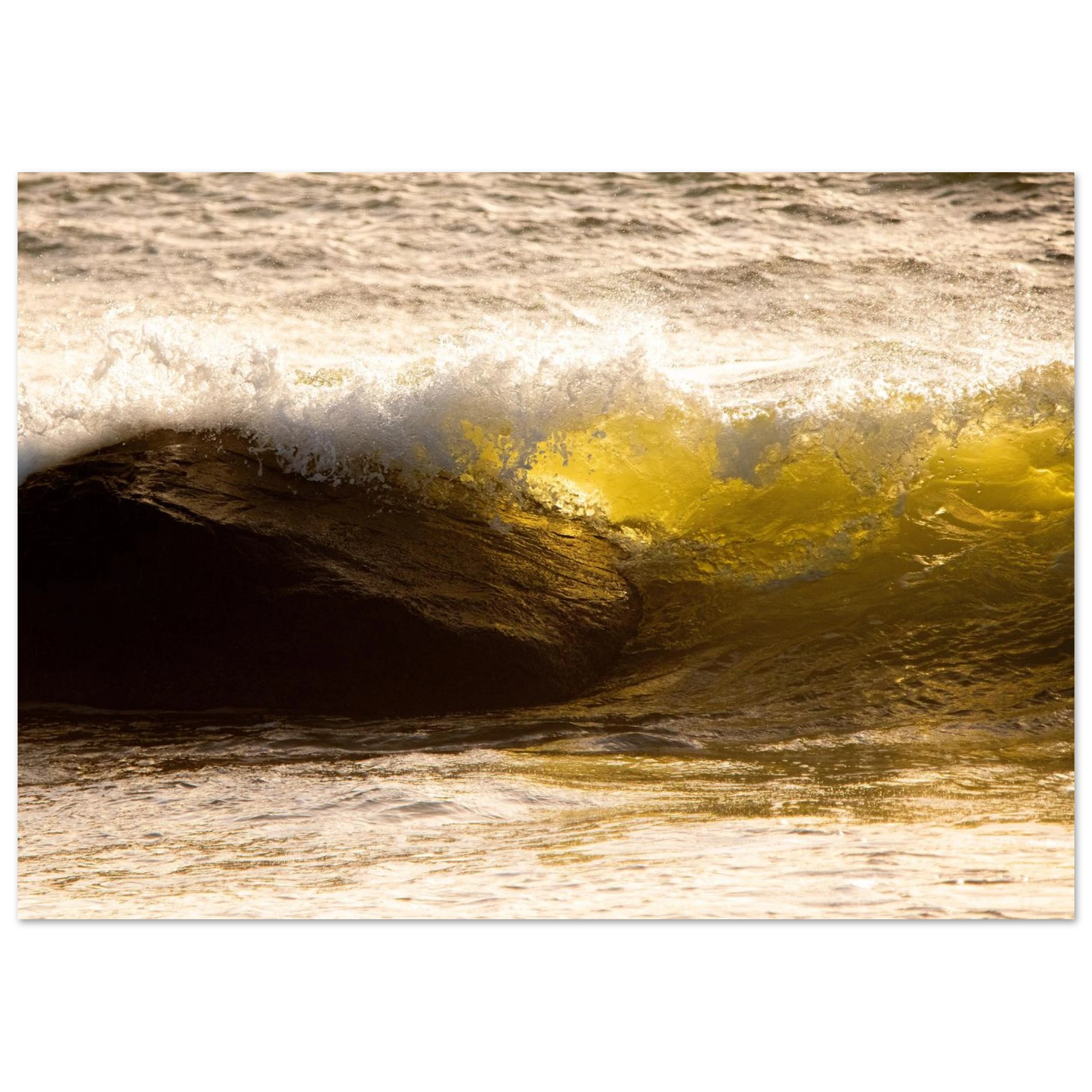 e5361a40-3cde-48d5-bb39-f3c2ab5b411d