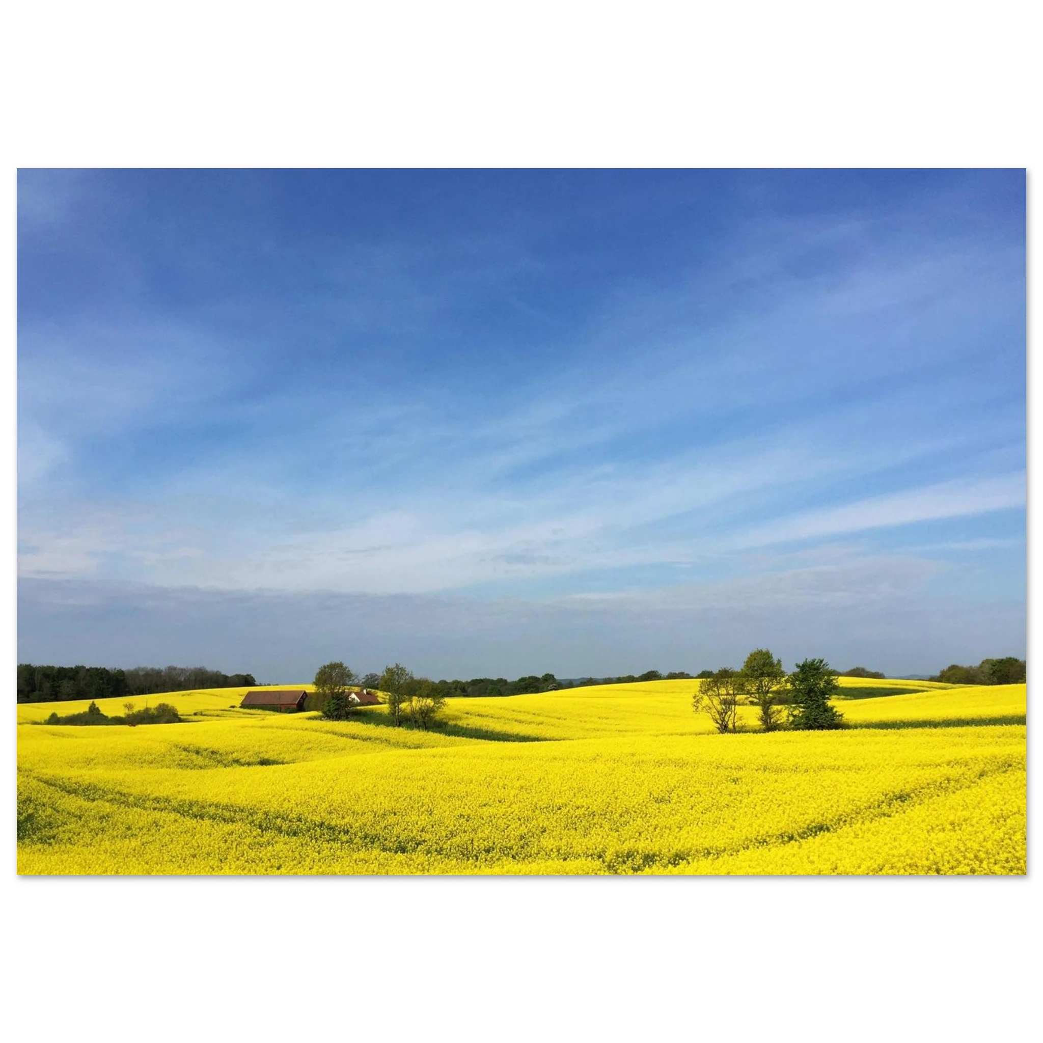 e58d0960-a225-4065-b8c9-4f999340ba5d