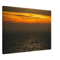 e5a81872-7b40-498a-84fa-4e7f3e828ccc
