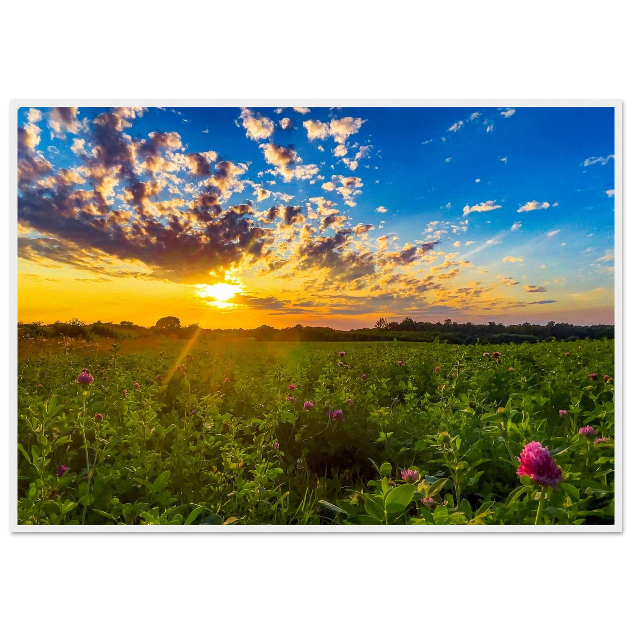 e74581f5-c231-41ec-b3cd-f3829ef812ab