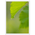 e76acec5-df73-4eab-a79b-c07fa28f211a