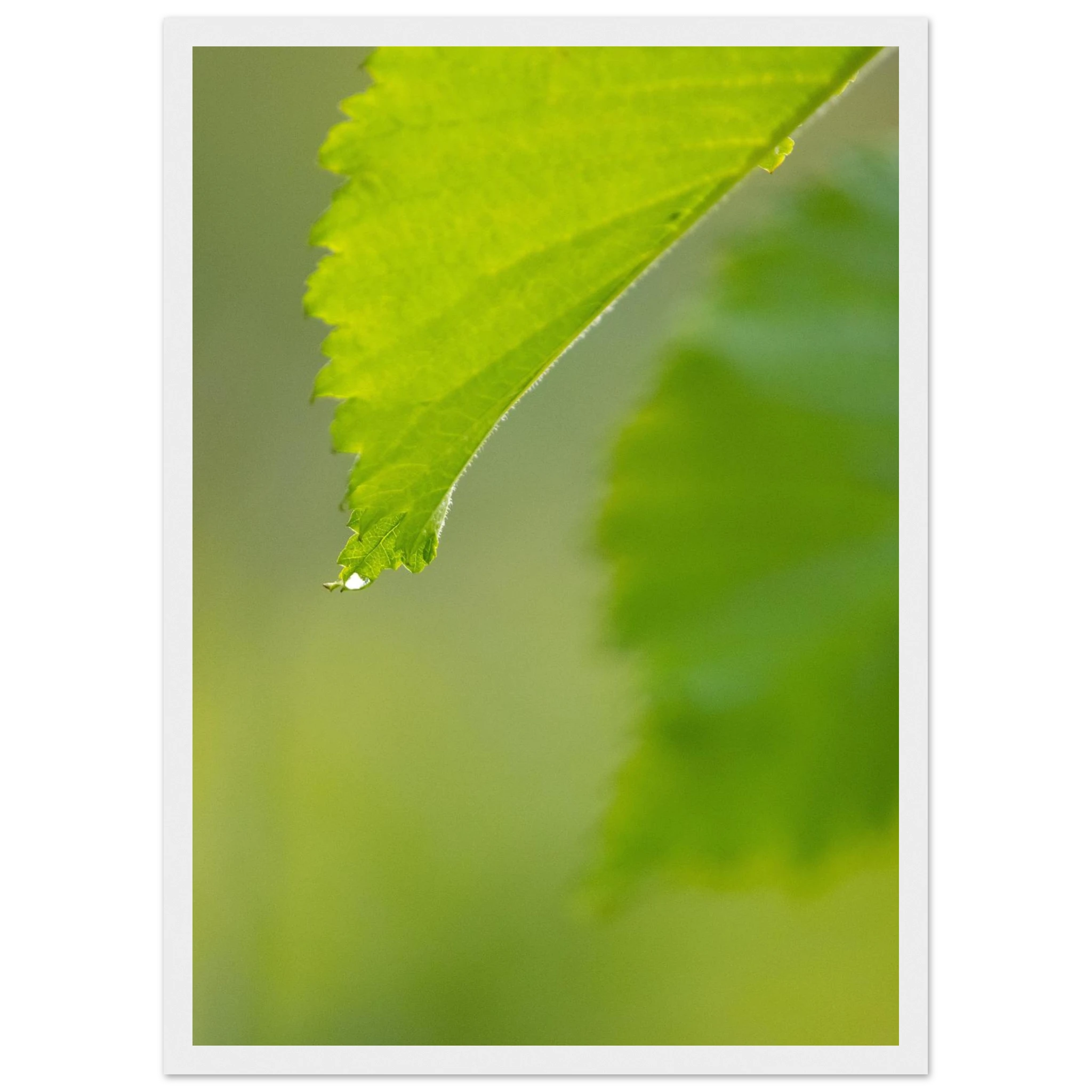 e76acec5-df73-4eab-a79b-c07fa28f211a