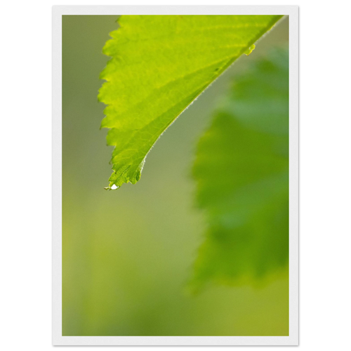 e76acec5-df73-4eab-a79b-c07fa28f211a