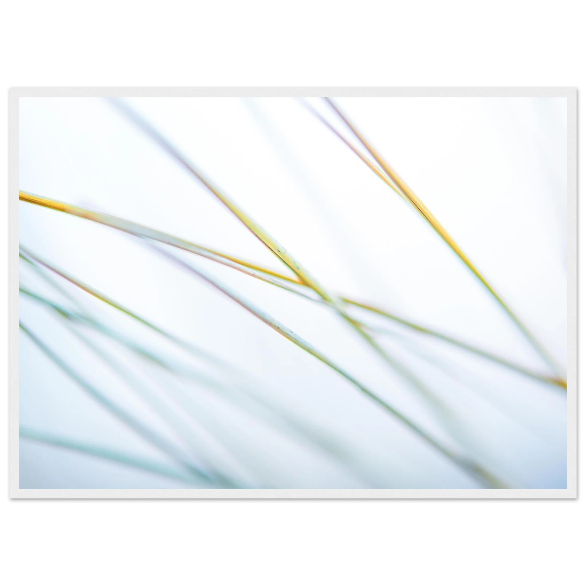 e7b01b07-e8bf-483c-b768-8dd1c16469fd
