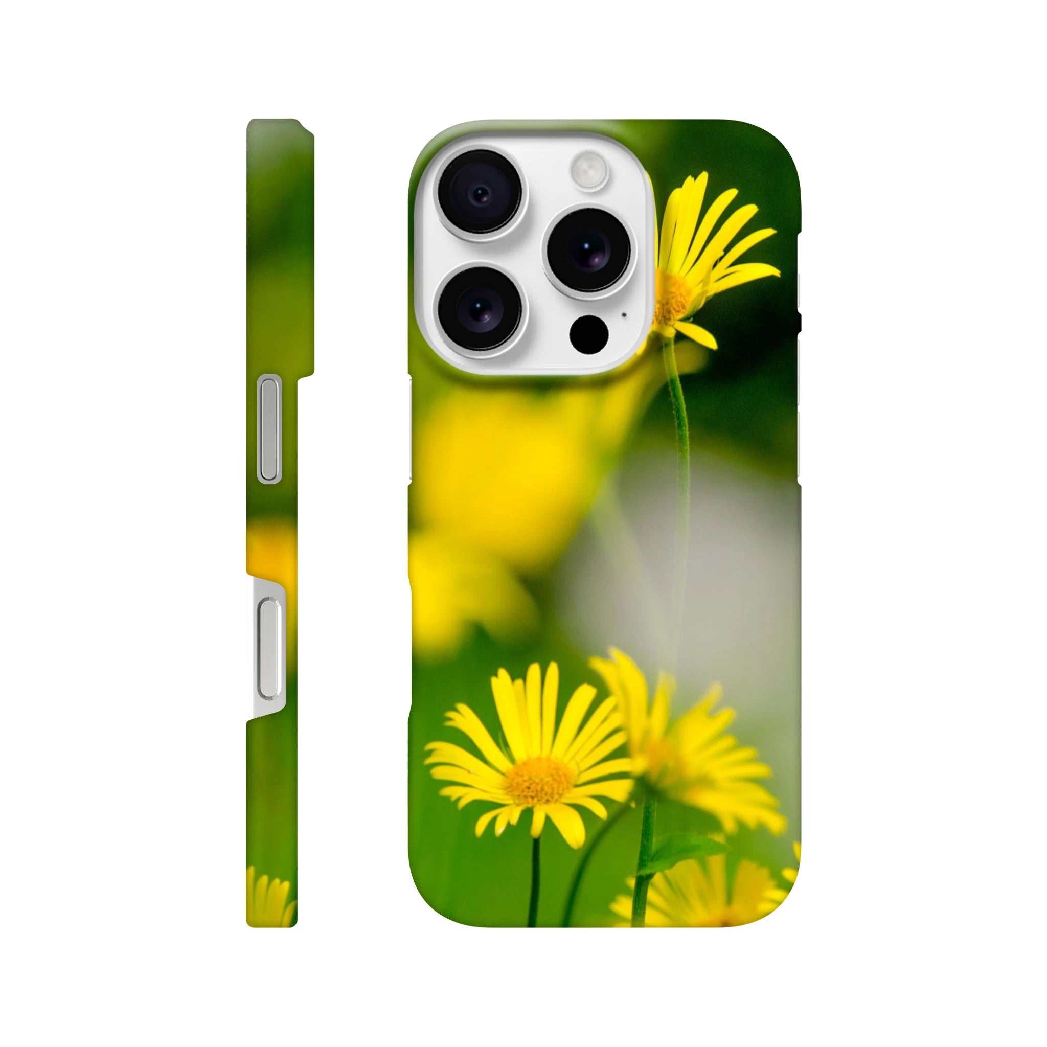 e84fcfa0-651e-4612-bb9b-fd166ff15c31