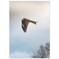 e86545c9-cb5c-4509-8f99-8d51d4568b17