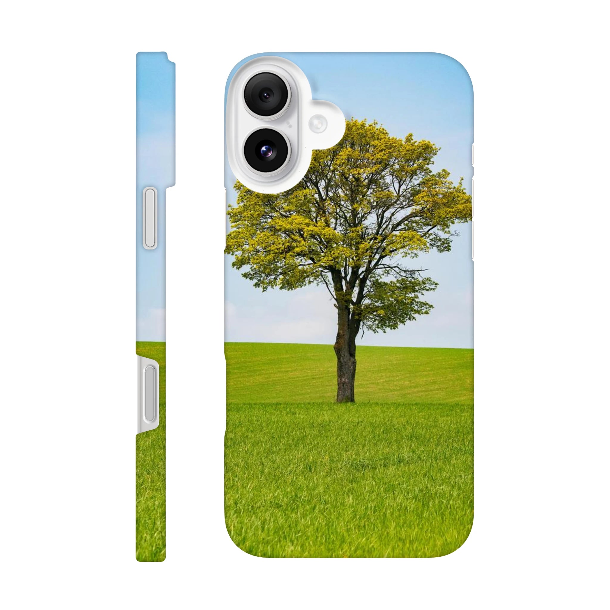ea823d56-d621-4874-9838-406099cc0d98