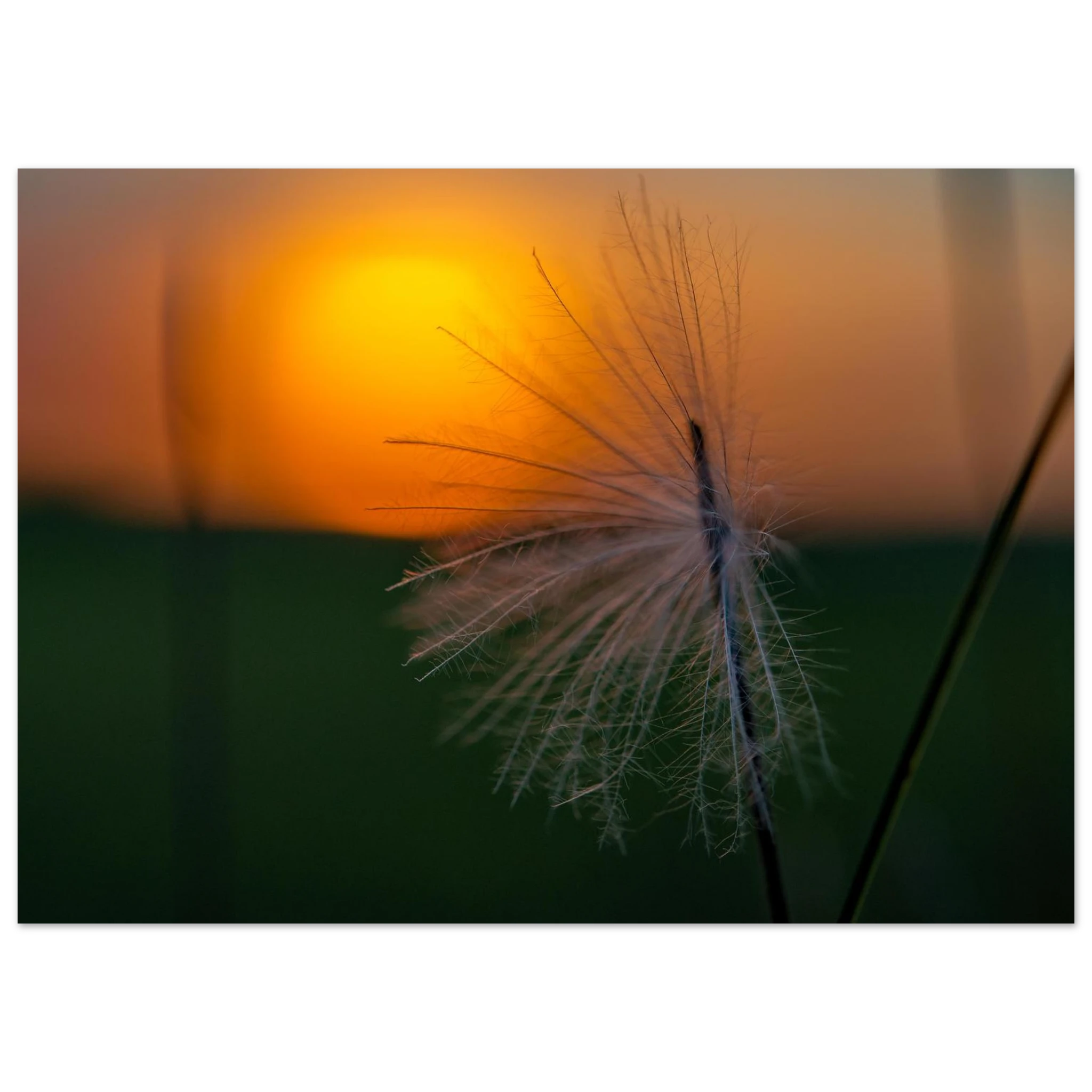 eb6f5c57-a6ae-4097-921a-8aa040104aca