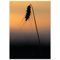 ed58e880-c479-47bc-87fb-e10c029be0d3