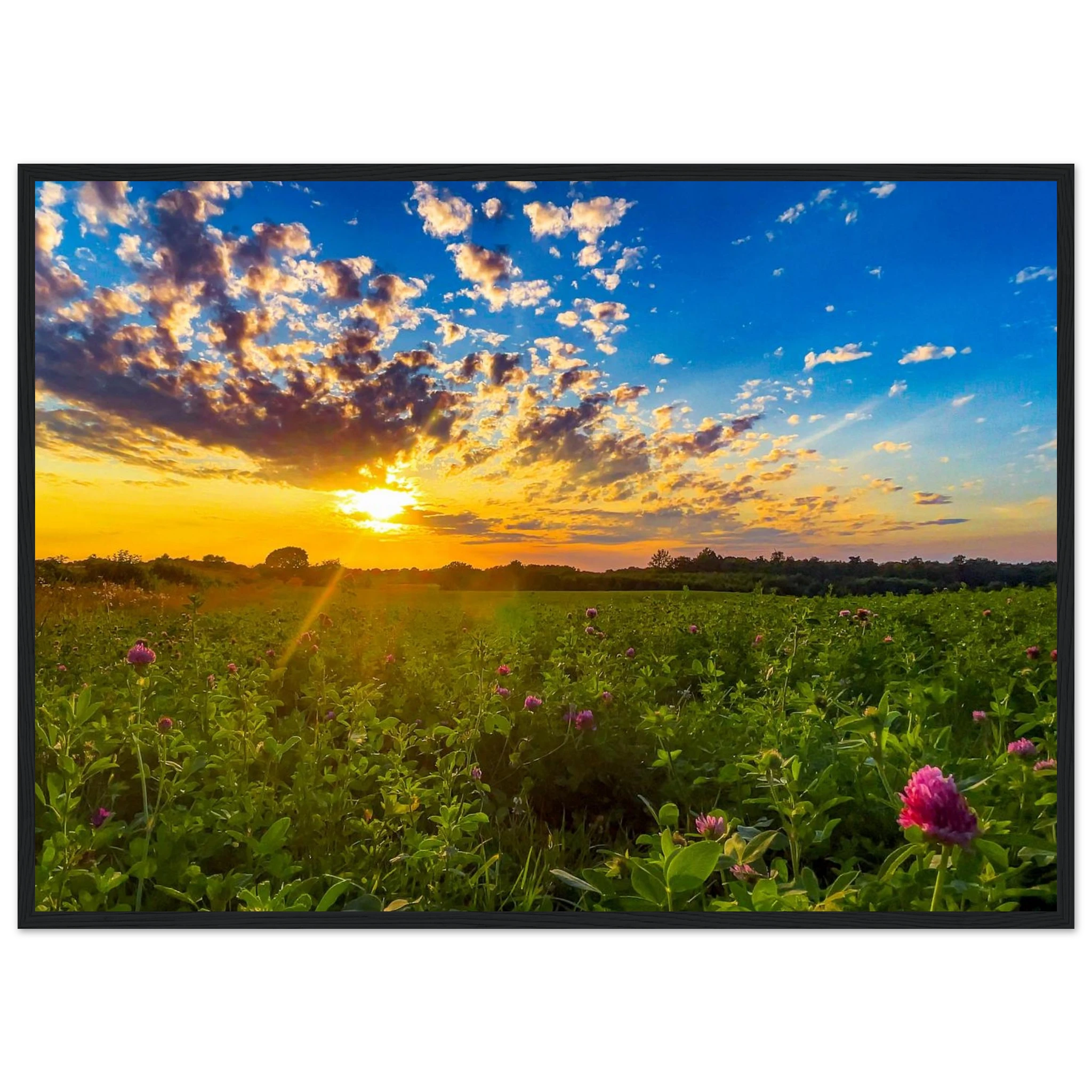ee6d5640-e34e-4756-9f16-403cdb4e6533