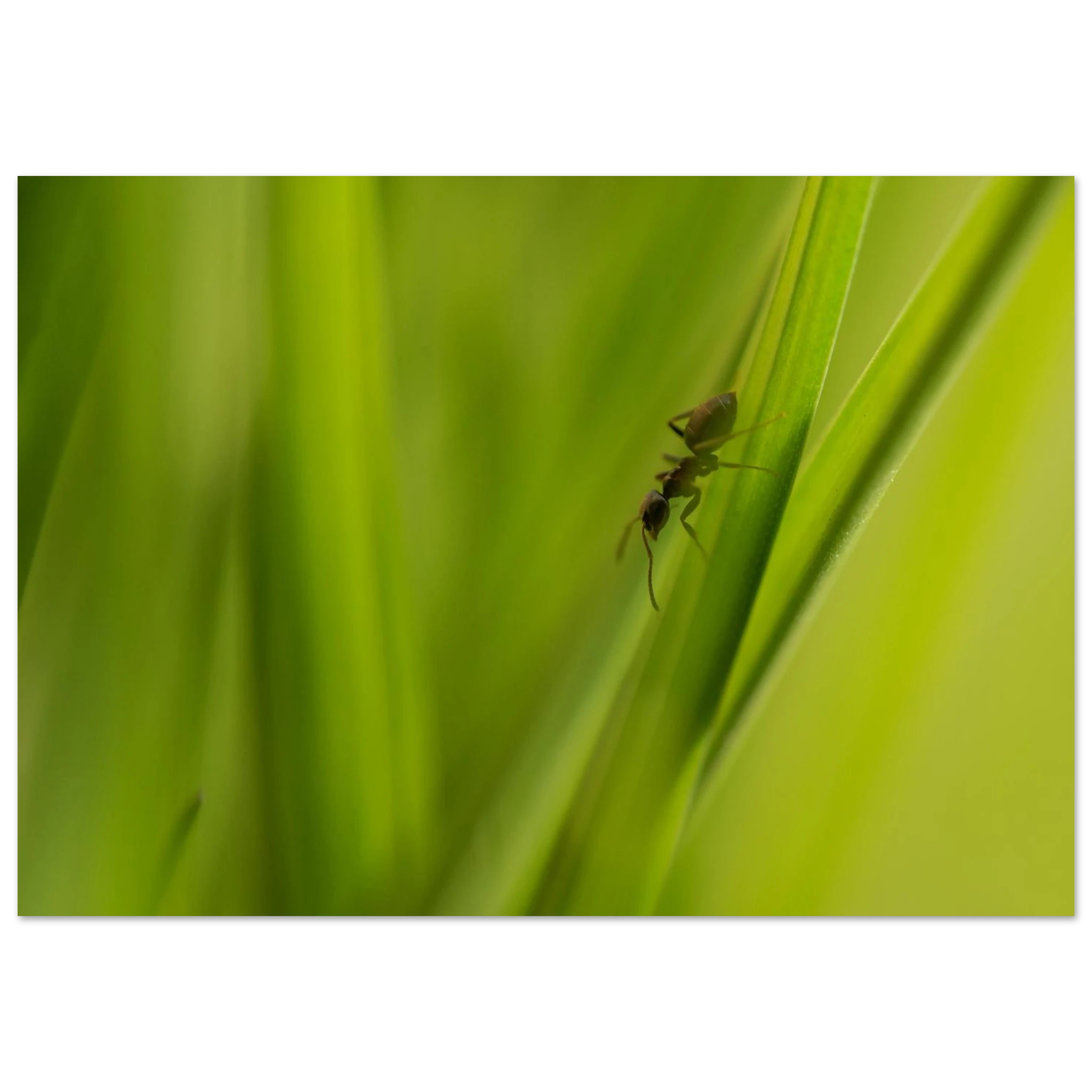 ef614152-f702-4003-b1cd-c1de0bf9cc49