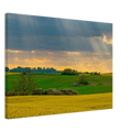 f11f0fde-9248-4e03-ab70-e028b0e8d9bd