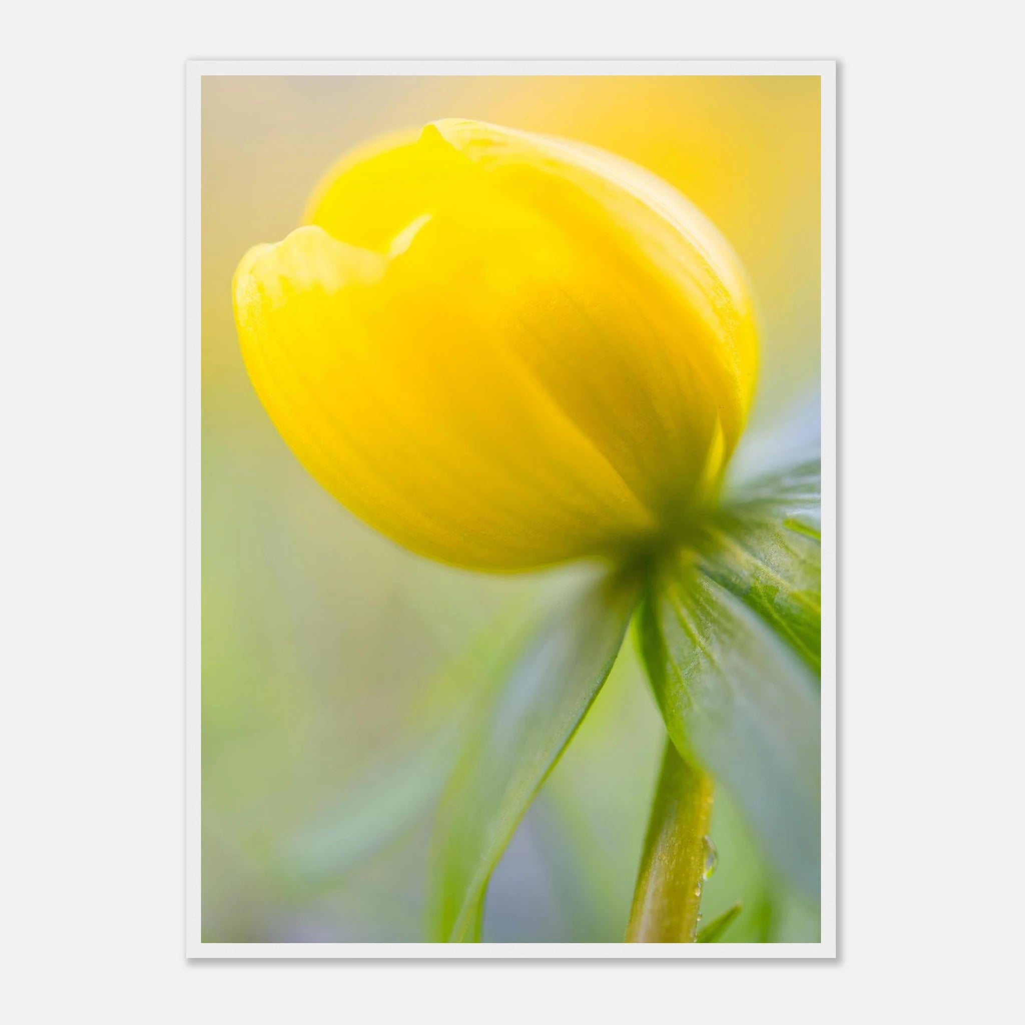 f2576a89-4169-4559-8b3d-c5783821ddff