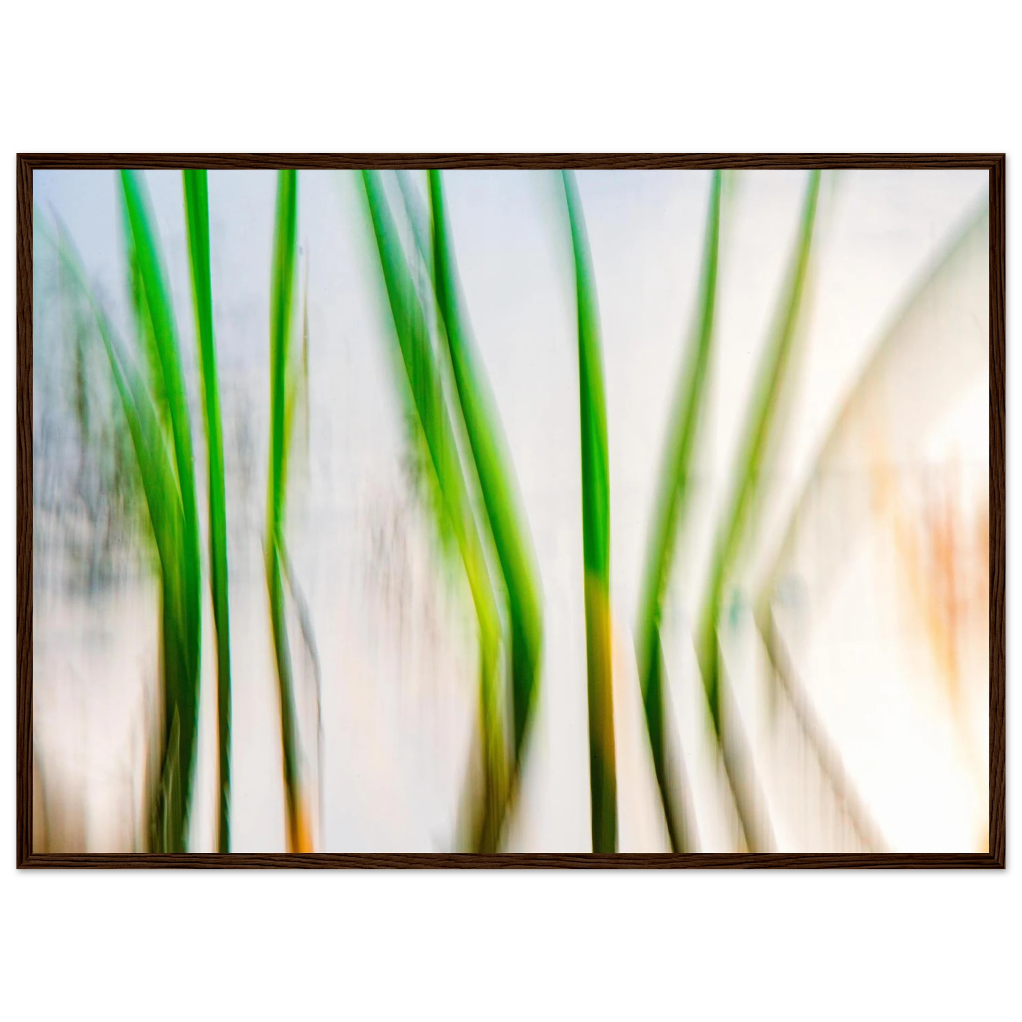 f3ce4233-98ac-4e73-8697-420bc8d24715