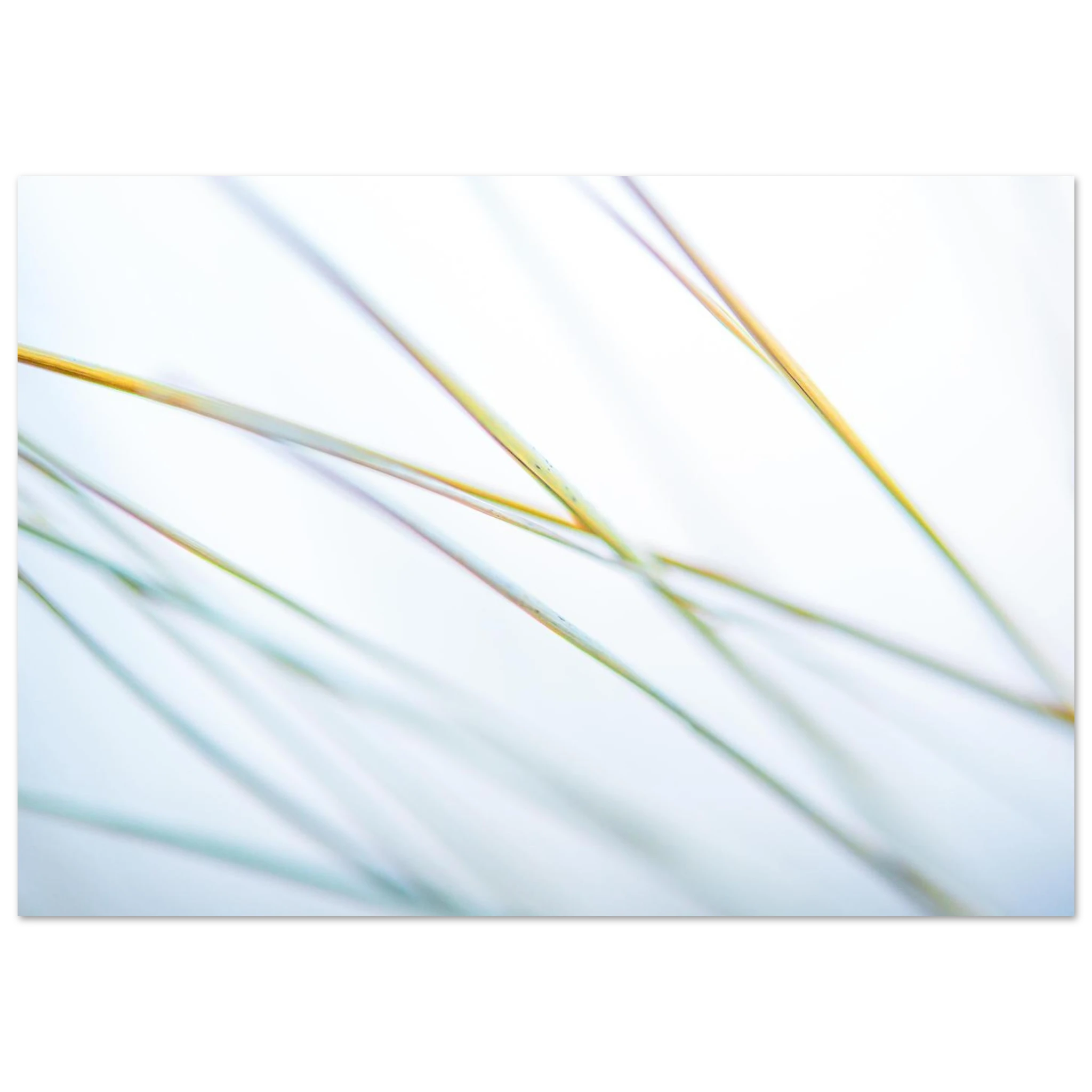 f3fb6101-ac35-4233-a782-3d4d06652c66