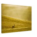 f4532169-a203-4bf0-afb4-6827542a66ea