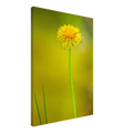 f4d6f6f4-8621-4115-a1c4-a92dd8aee08d