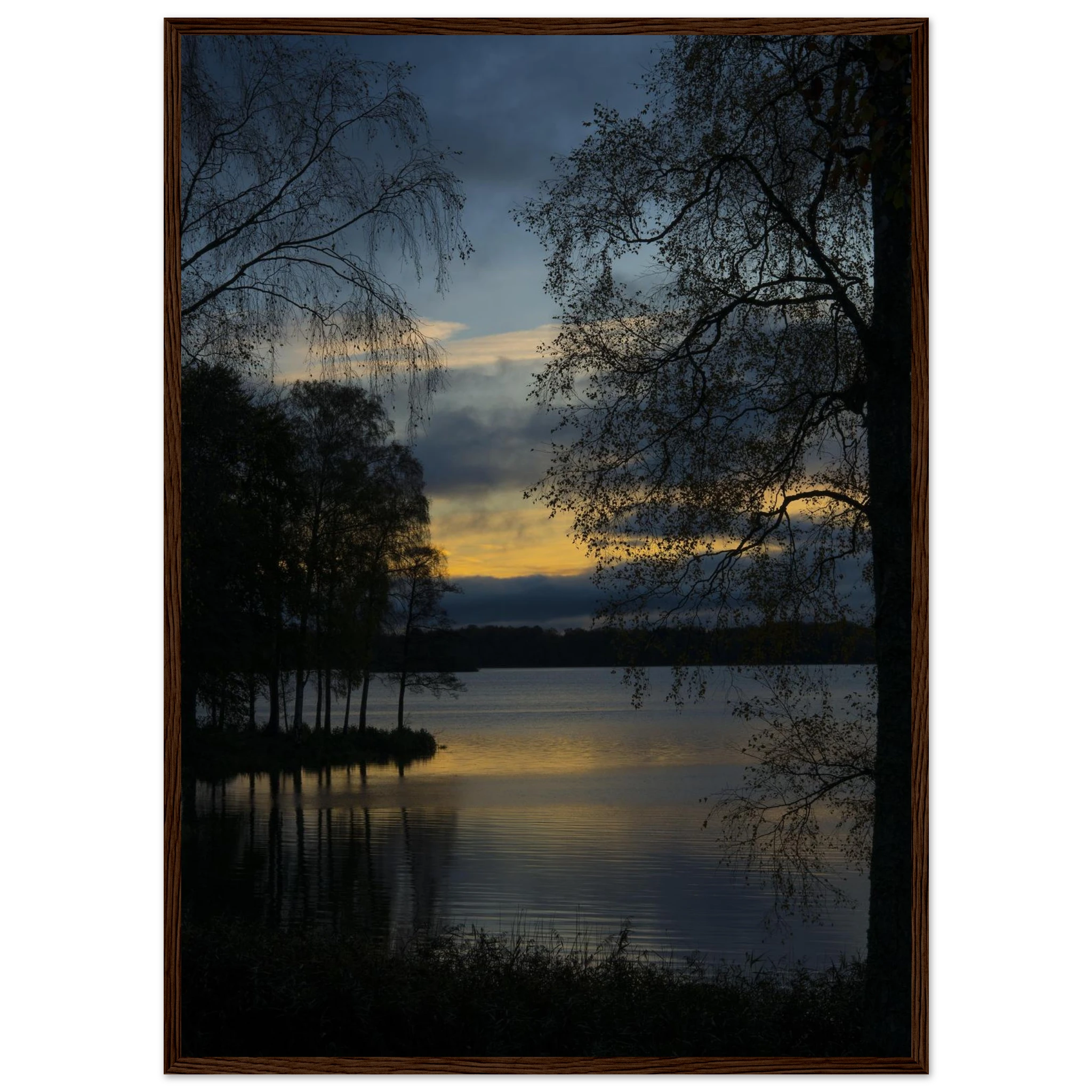f5006392-d4c5-49f8-a425-7fd7f42a64c9
