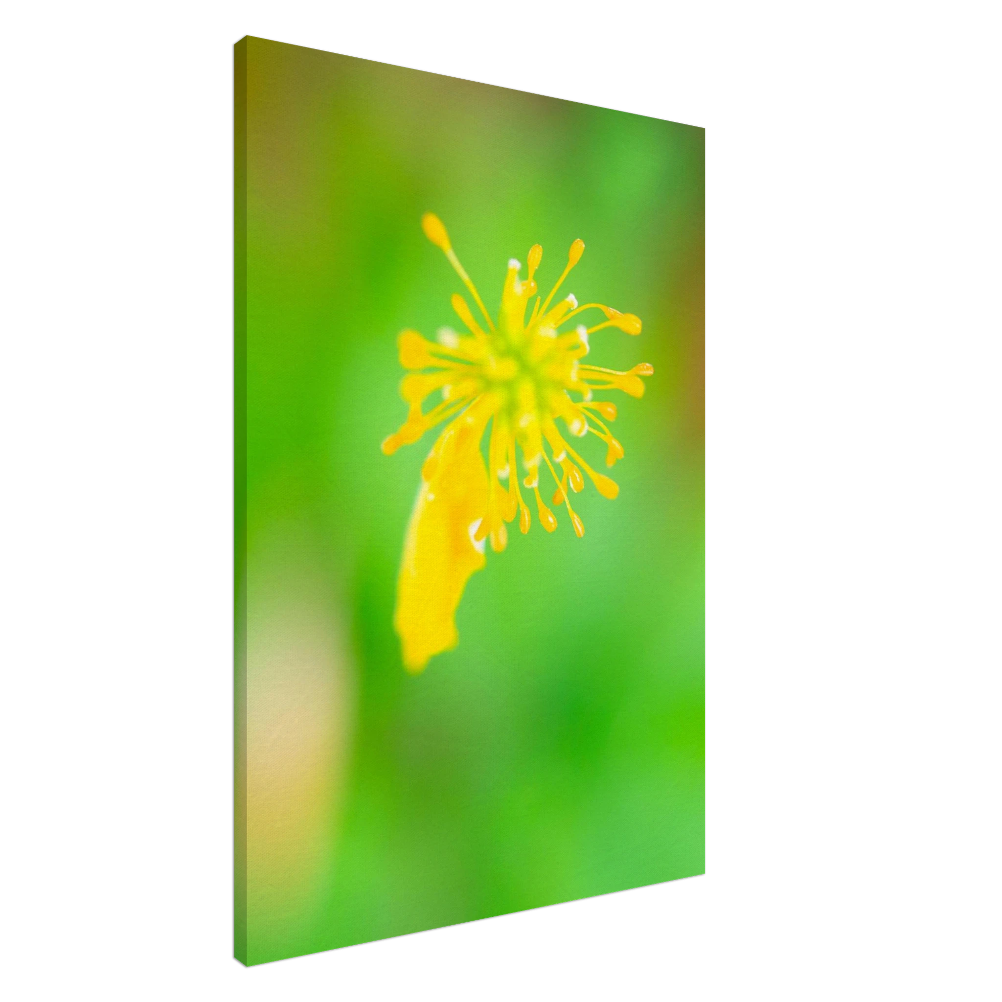 f5684cbb-7e28-48cd-9f87-bb9e194284a2
