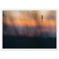 f59c50e9-3c26-4ca8-9423-f5a074876737