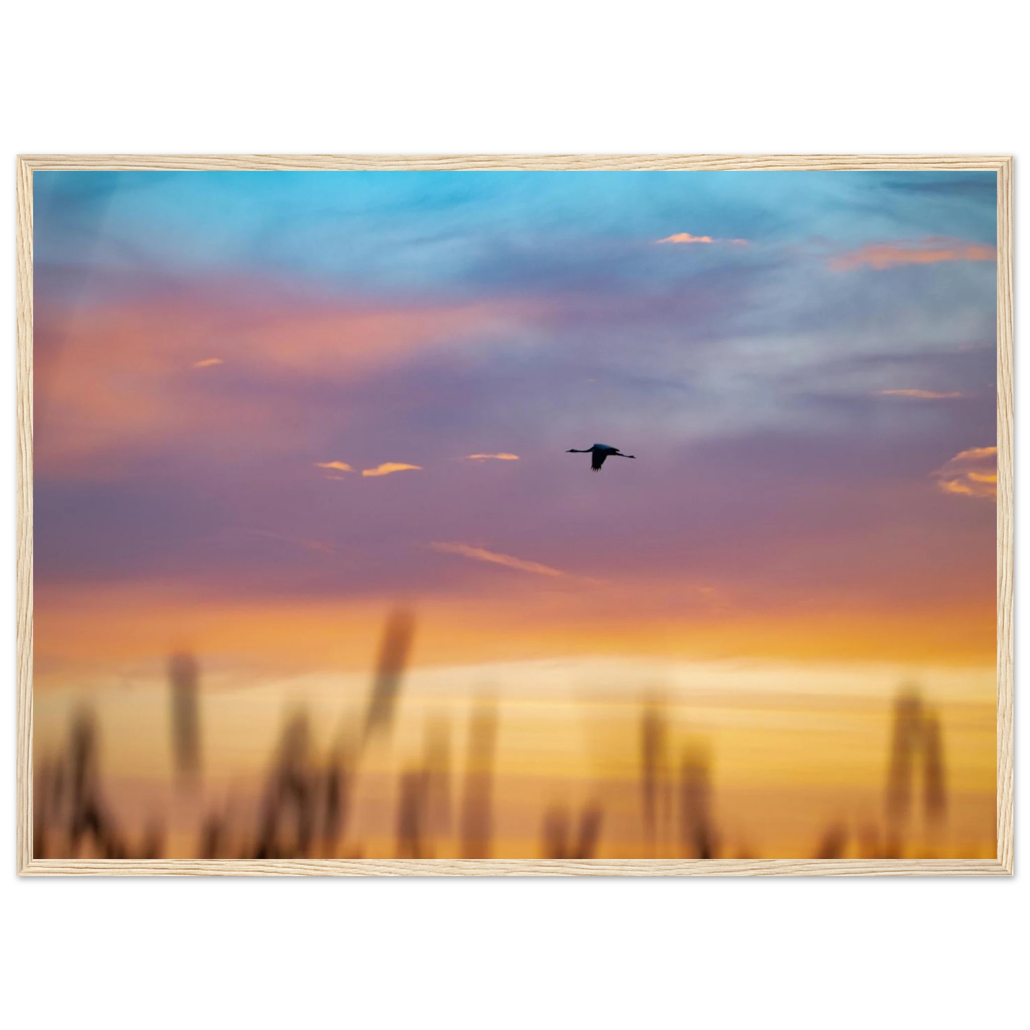 f5b612f7-2551-4253-8f41-7a65c4ff3082