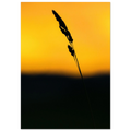 f639511c-52d2-4783-8750-25b831ee3ea0