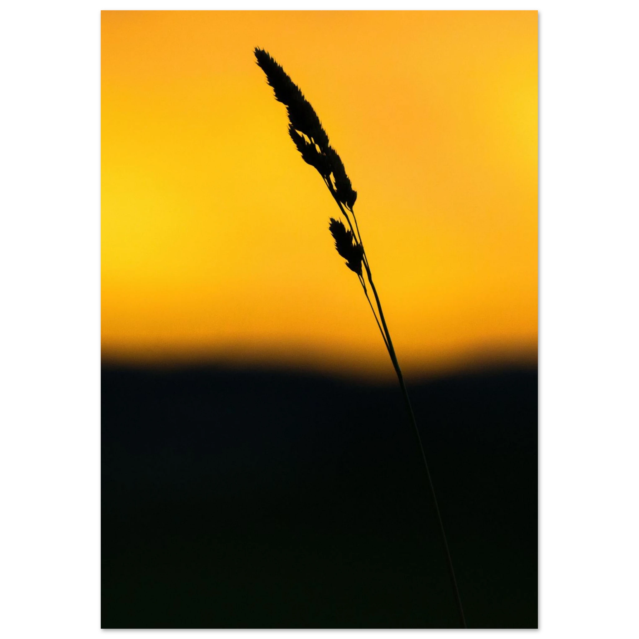 f639511c-52d2-4783-8750-25b831ee3ea0