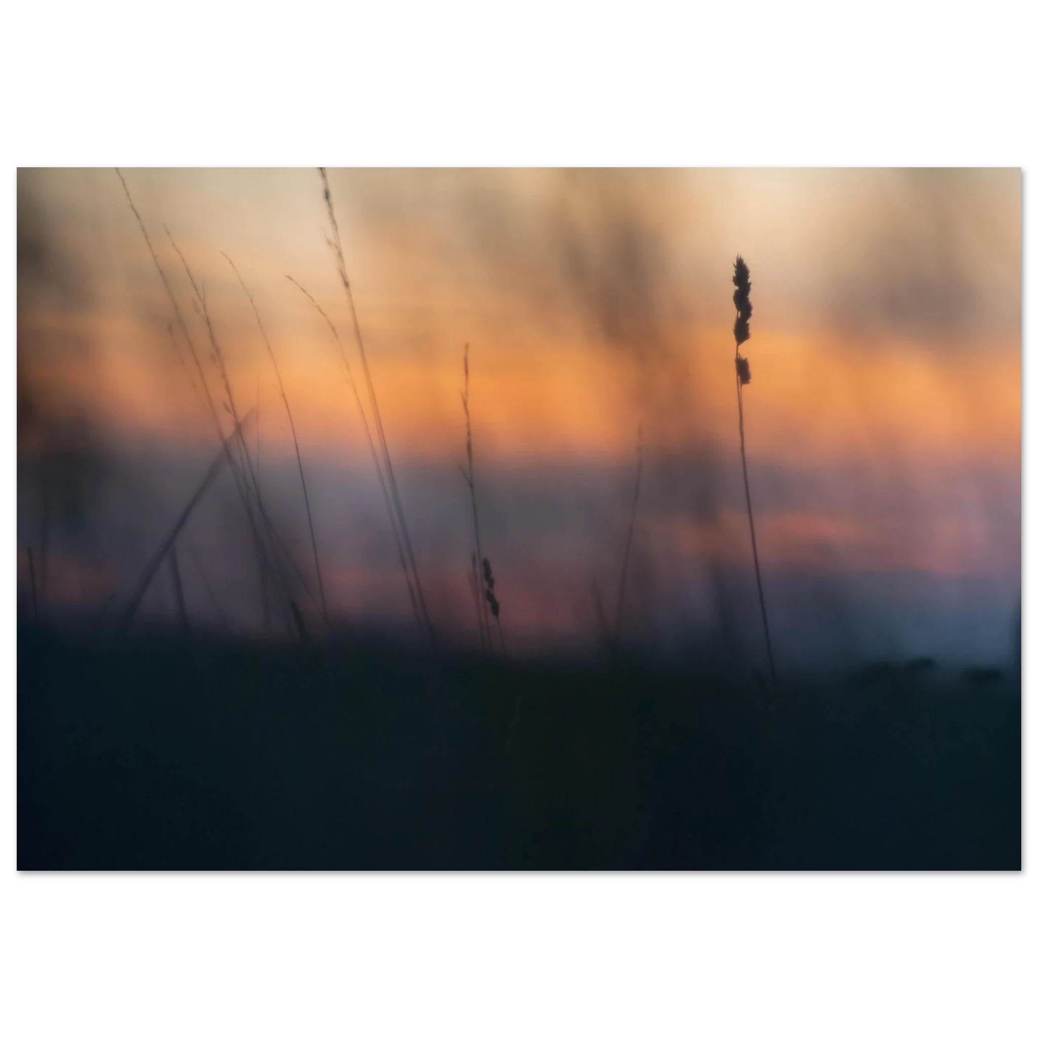 f732e2dc-f204-4766-a69b-bd7a6913693f
