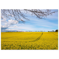f7815bae-d3ba-41d9-a25a-1eee20ee99d7