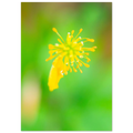 f799f653-0e4b-43b3-bf6b-38bdb674c7d2