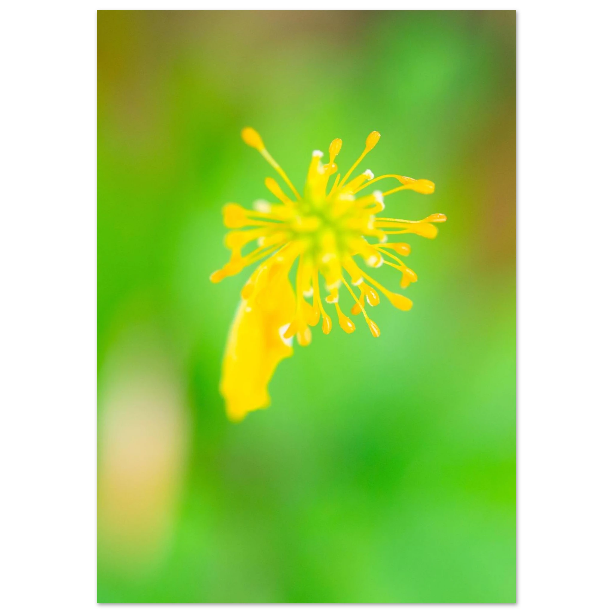 f799f653-0e4b-43b3-bf6b-38bdb674c7d2