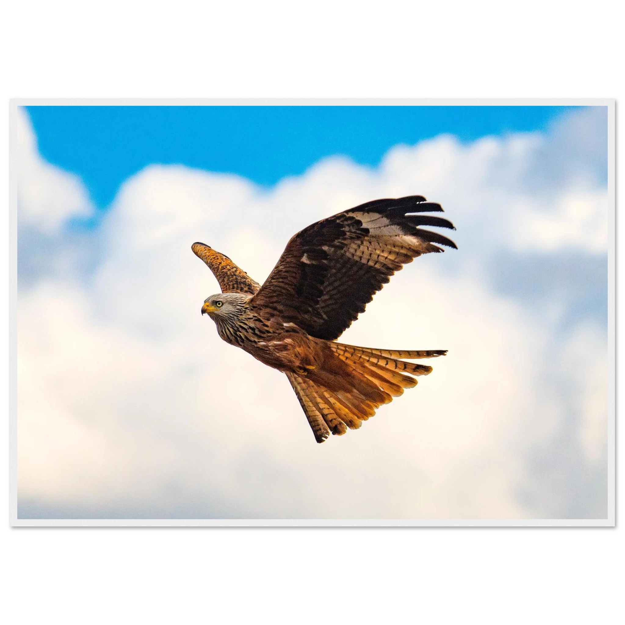 f8f1619a-b92a-43d5-962f-f135146b1b7d