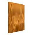 f98b51f2-54ab-4dce-a44e-4bc9b49f760d
