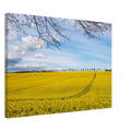 f98dfbb7-8c63-4241-942b-107aaa717f6b