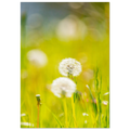 f99056b2-27f8-40b6-9030-2a3489b34e29